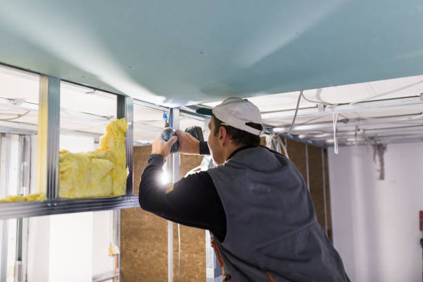 Best Insulation Installation Services in Streamwood, IL